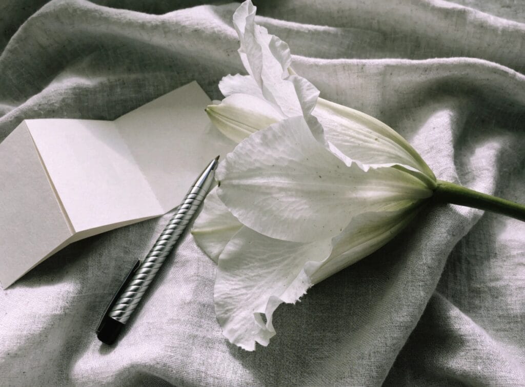 a serene softly lit flat lay photograph of a sing
